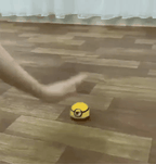 Pet Escape Toy
