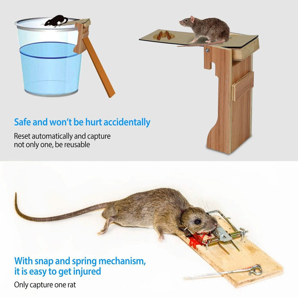 Walk the Plank Mouse Trap Reusable