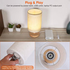 Warm White Nightstand Lamp USB Plug Modern Lantern