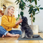 Washable Dog Pee Pad Reusable Puppy Potty Training Pads