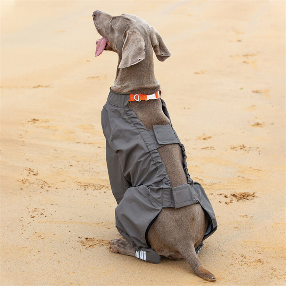 Waterproof Raincoat for Dogs with Four Legs and Reflective Pattern Hood