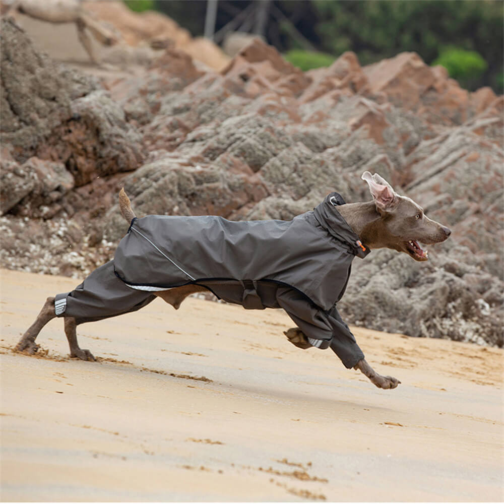 Waterproof Raincoat for Dogs with Four Legs and Reflective Pattern Hood
