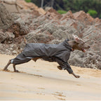 Waterproof Raincoat for Dogs with Four Legs and Reflective Pattern Hood