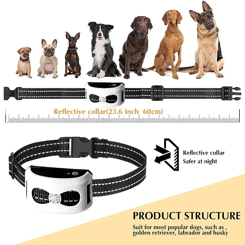 Wireless Fence & Training Collar 2-in-1 - Waterproof & Rechargeable