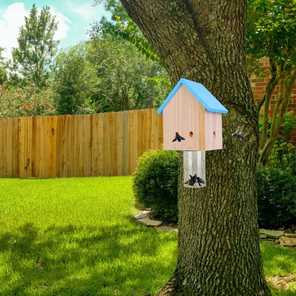Wood Carpenter Bee Trap Outdoor Natural Pine Wood