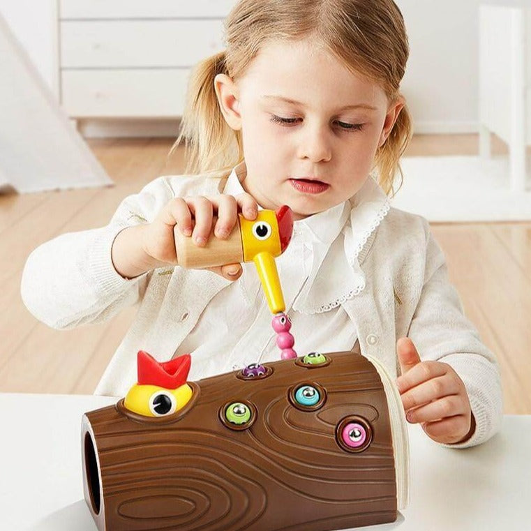 Magnetic Bird Feeding Toy for Toddlers