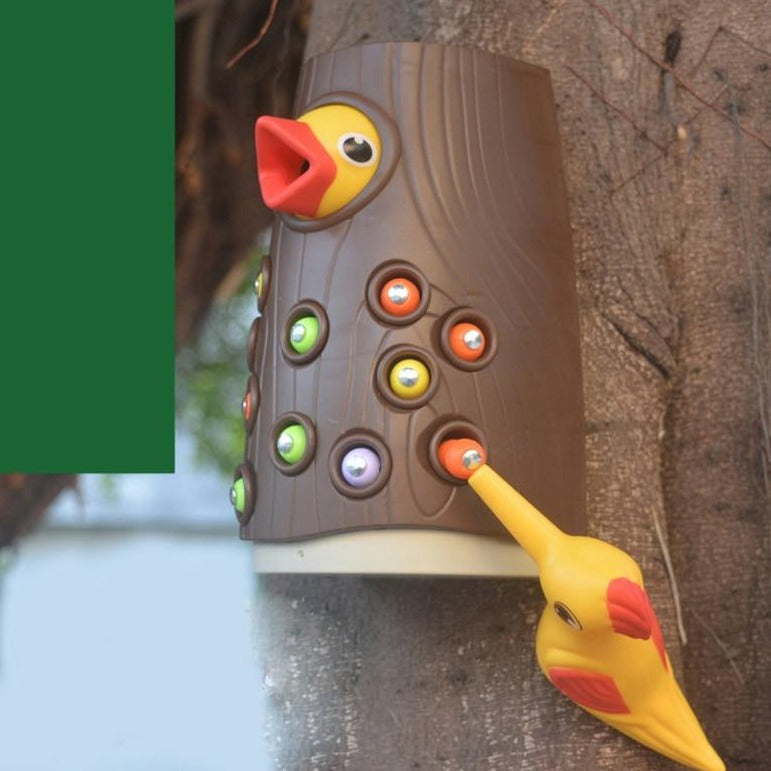 Magnetic Bird Feeding Toy for Toddlers