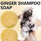 Xioimy Ginger Shampoo Bar 2.116oz